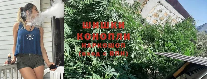 где продают   Ногинск  Конопля планчик 